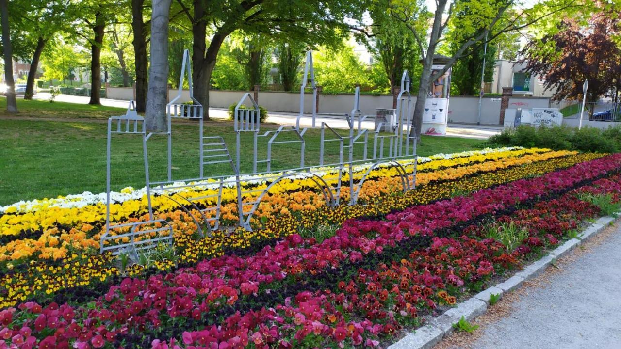 Alte Baeckerei Bautzen - 02 #Senior# Im Zentrum, Mit Parkplatz, Top Ausgestattet ภายนอก รูปภาพ